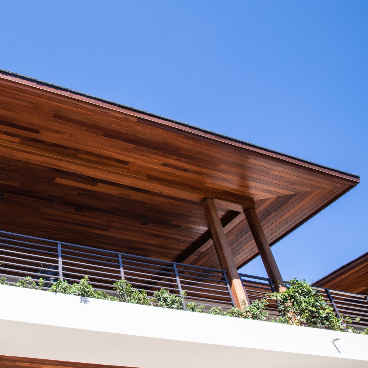 Cumaru Hardwood Siding