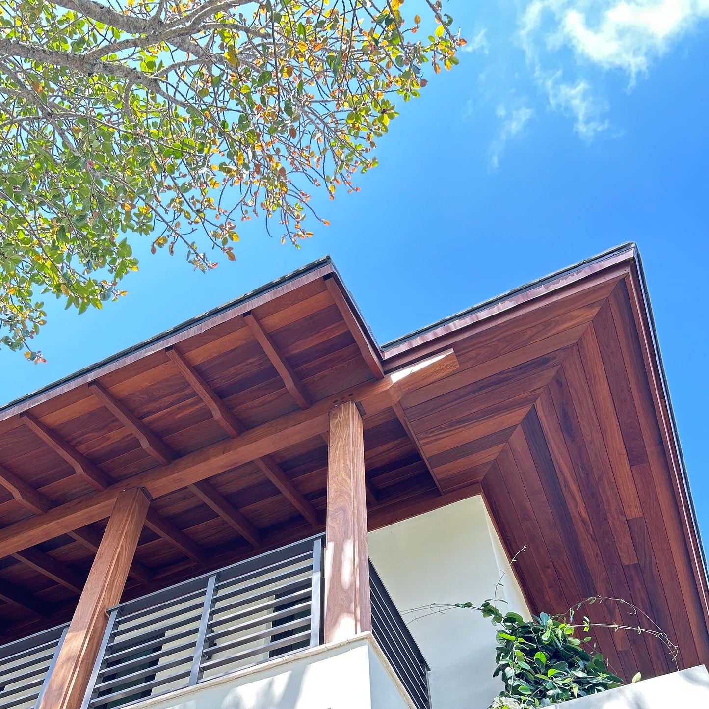 Cumaru Hardwood Siding